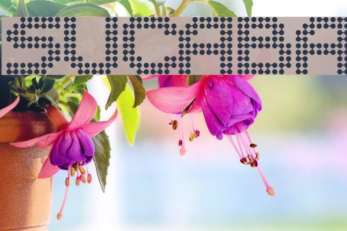 Sucaba Font examples