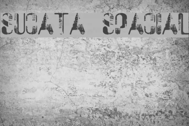 Sucata Spacial Polices examples