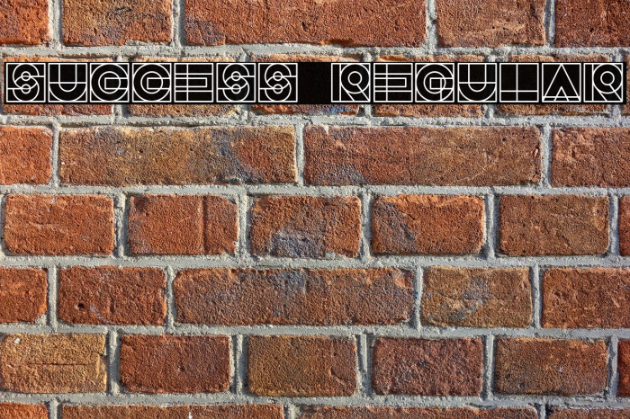 Success Regular Font examples