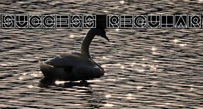 Success Regular Example 3