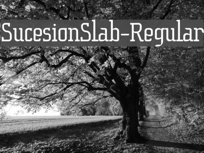 SucesionSlab-Regular फ़ॉन्ट examples