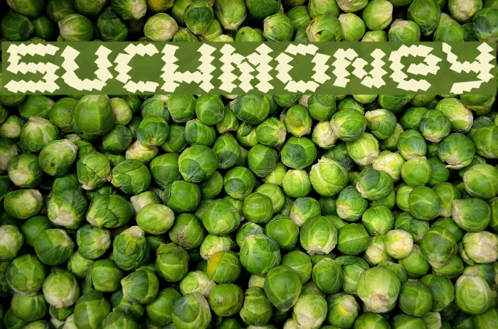 SuchMoney Font examples