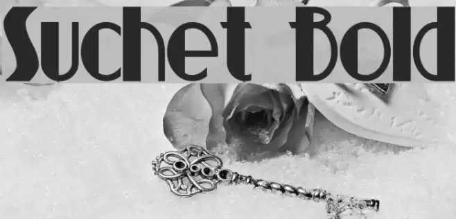 Suchet Bold Font examples