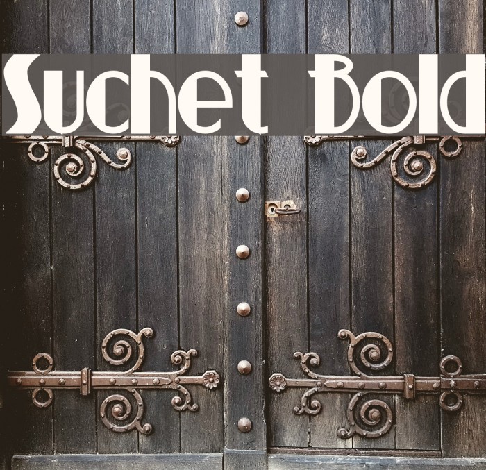 Suchet Bold Font examples
