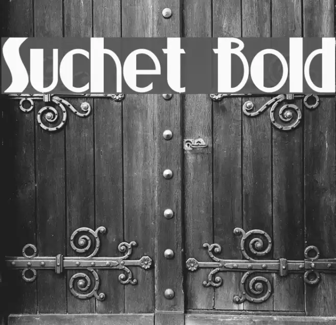 Suchet Bold Font examples