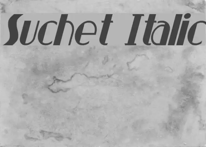 Suchet Italic Font examples