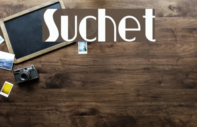 Suchet Example 1