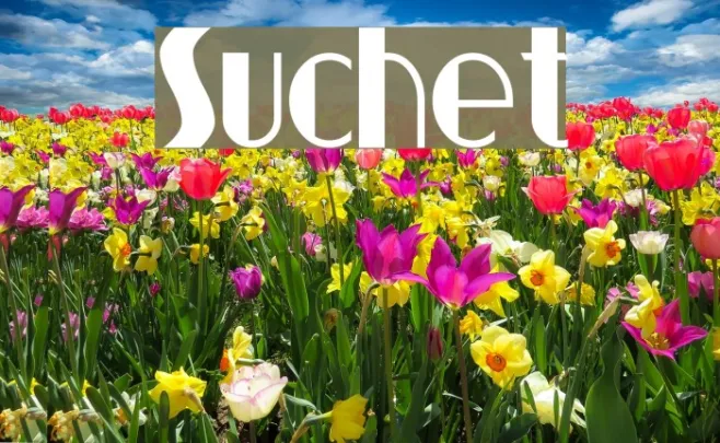 Suchet Example 3