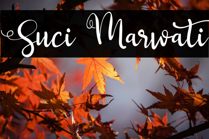 Suci Marwati Example 3