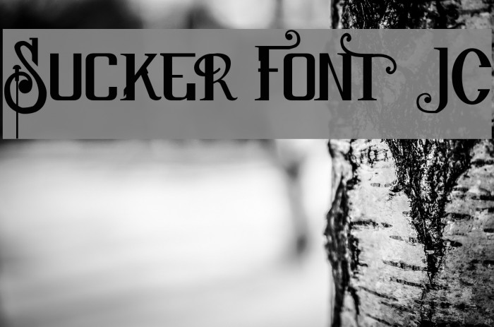 Sucker Font JC Font examples