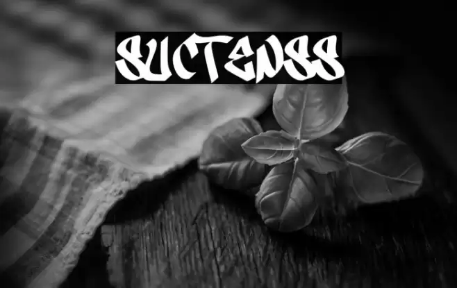 Suctenss Font examples