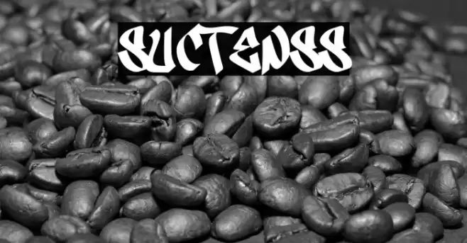 Suctenss Font examples