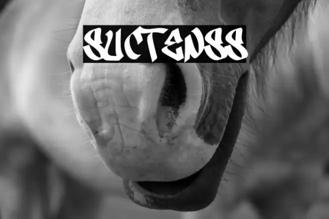 Suctenss Font examples