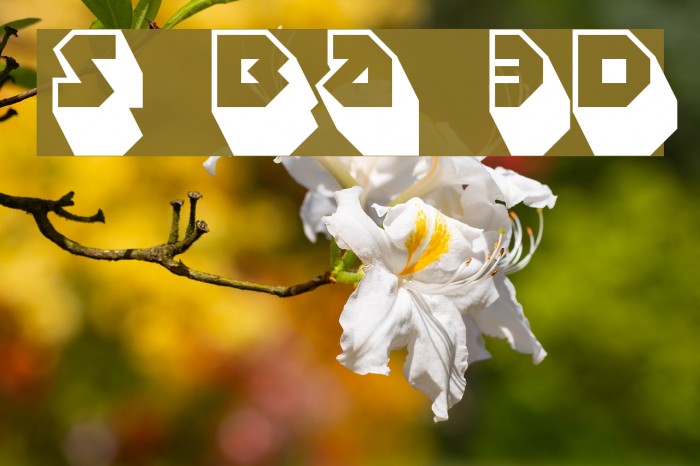 Sudbury Basin 3D Font examples