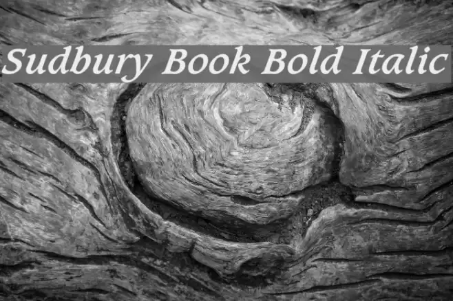 Sudbury Book Bold Italic Font examples