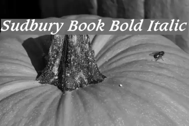 Sudbury Book Bold Italic Font examples