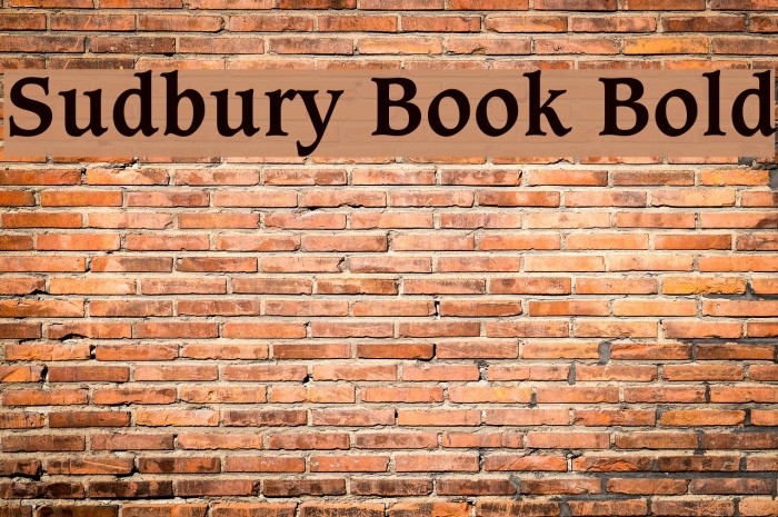 Sudbury Book Bold Font examples