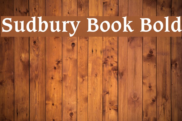 Sudbury Book Bold Font examples