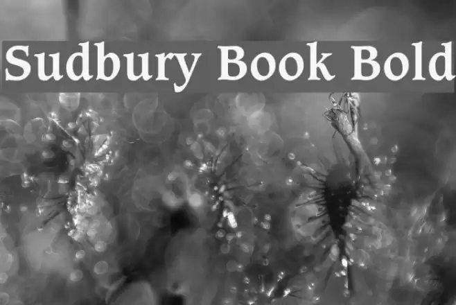 Sudbury Book Bold Font examples