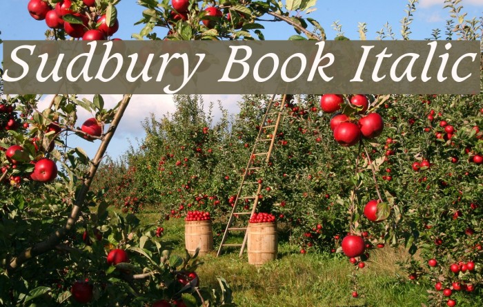 Sudbury Book Italic Font examples