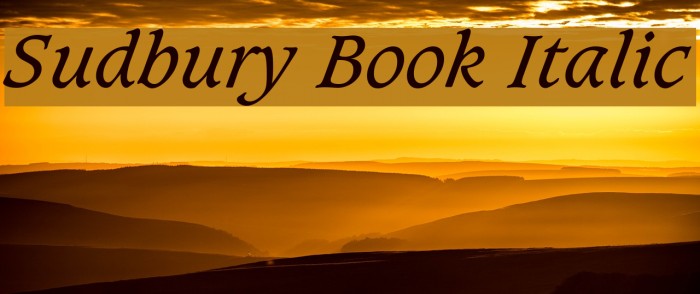 Sudbury Book Italic Font examples