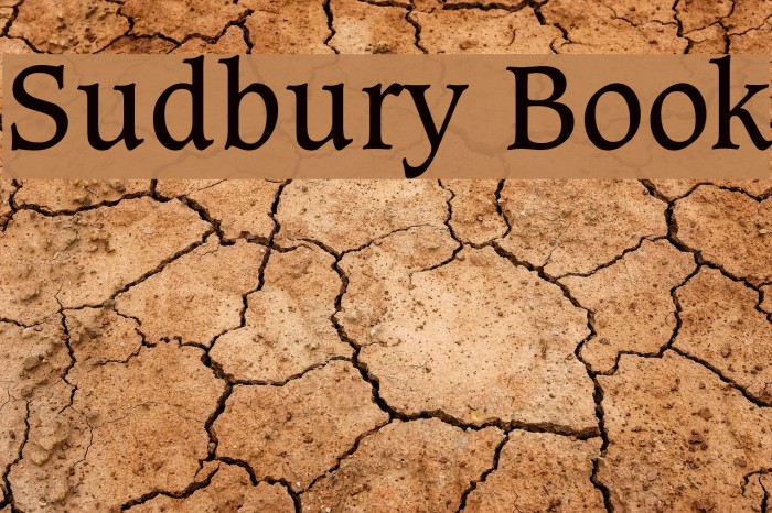 Sudbury Book Example 3