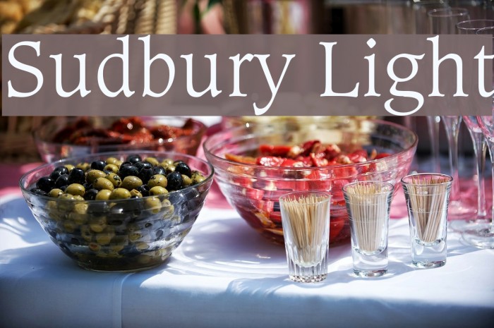 Sudbury Light Font examples