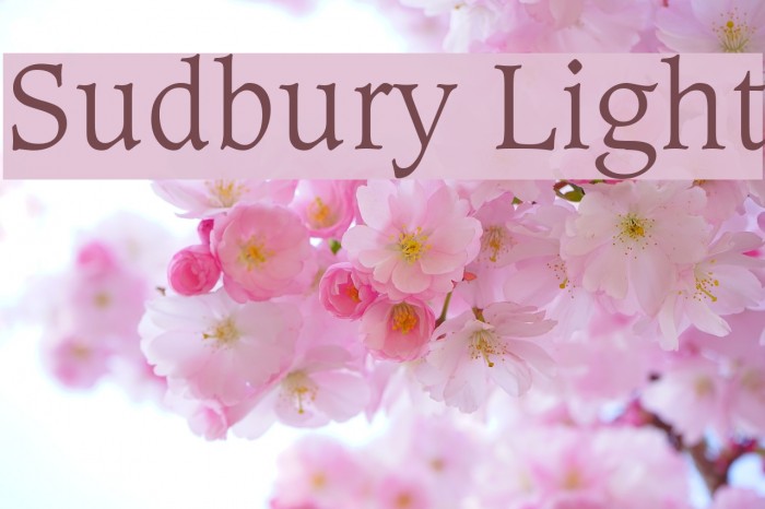 Sudbury Light Font examples