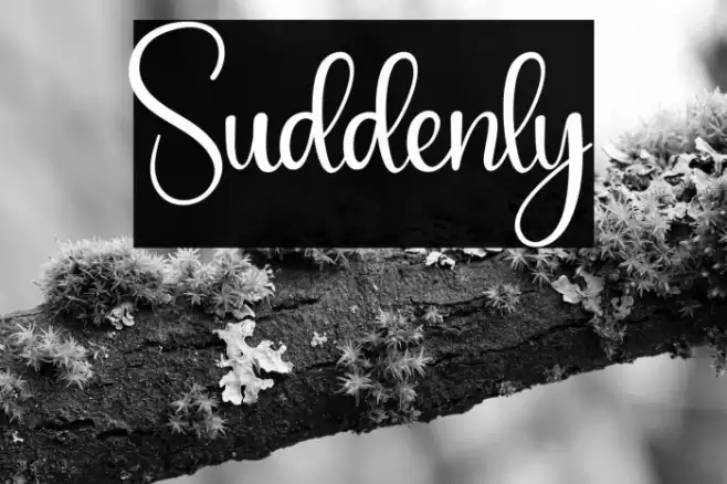 Suddenly Шрифта examples