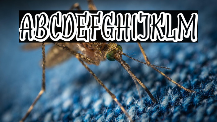 SudegnakNo2 Example 2