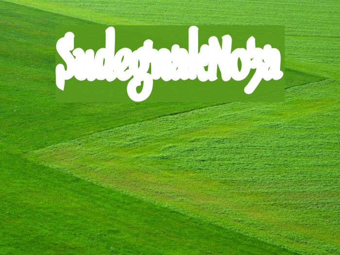 SudegnakNo3a フォント examples