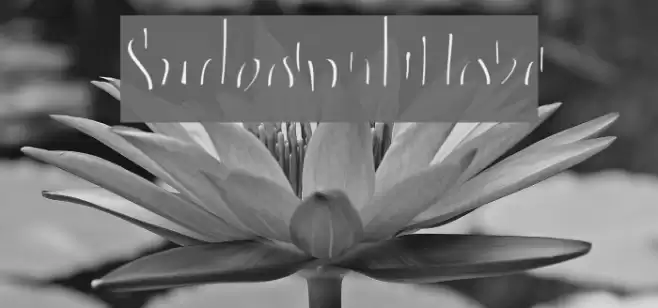 SudegnakNo3c Font examples