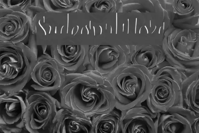 SudegnakNo3c Font examples