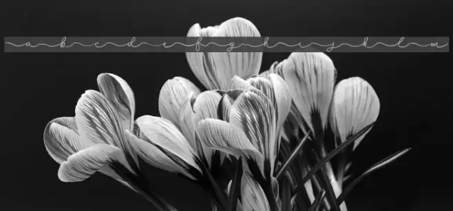 Sudsakorn - Personal Use Font examples