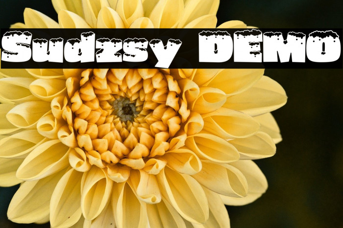 Sudzsy DEMO Example 1