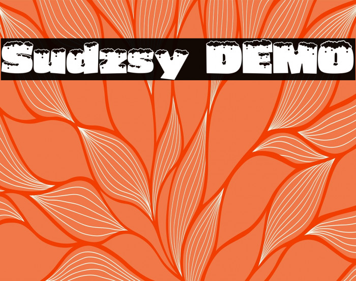 Sudzsy DEMO Example 2