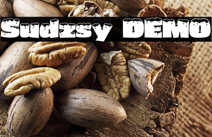 Sudzsy DEMO Example 3