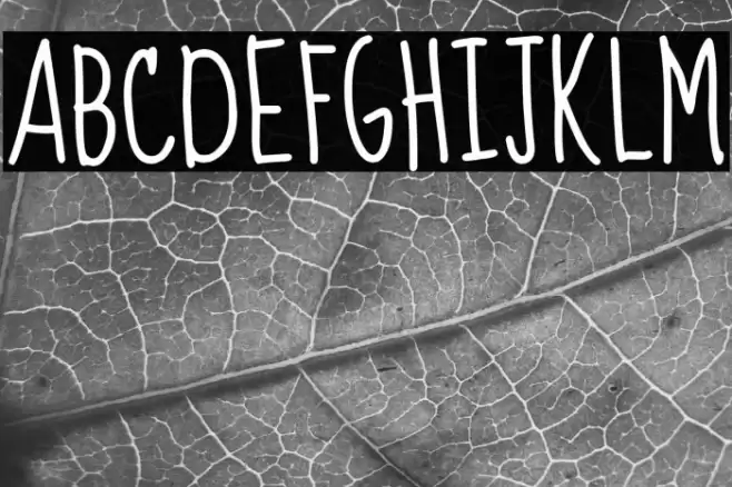 Sue Ellen Francisco Font examples