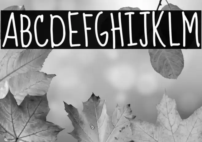 Sue Ellen Francisco Font examples