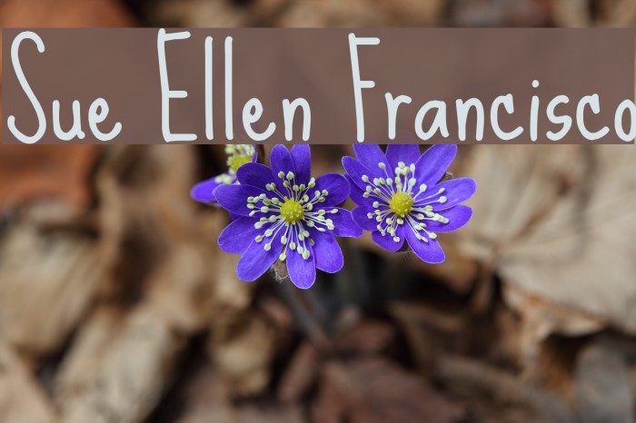 Sue Ellen Francisco Font examples