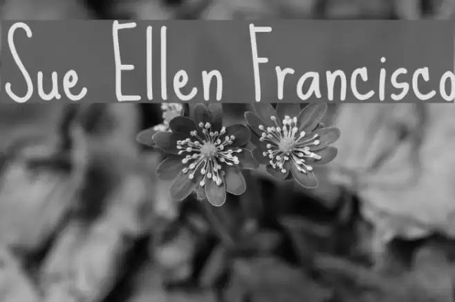 Sue Ellen Francisco Font examples