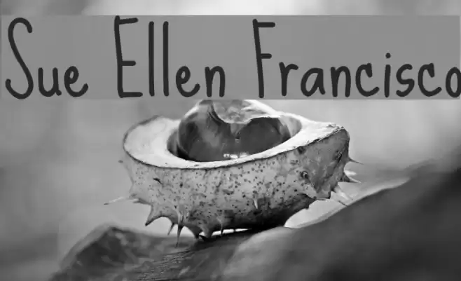 Sue Ellen Francisco Font examples