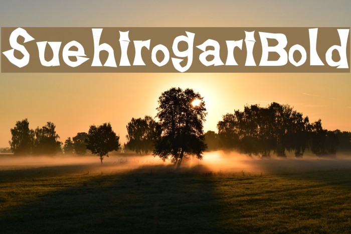 SuehirogariBold Font examples