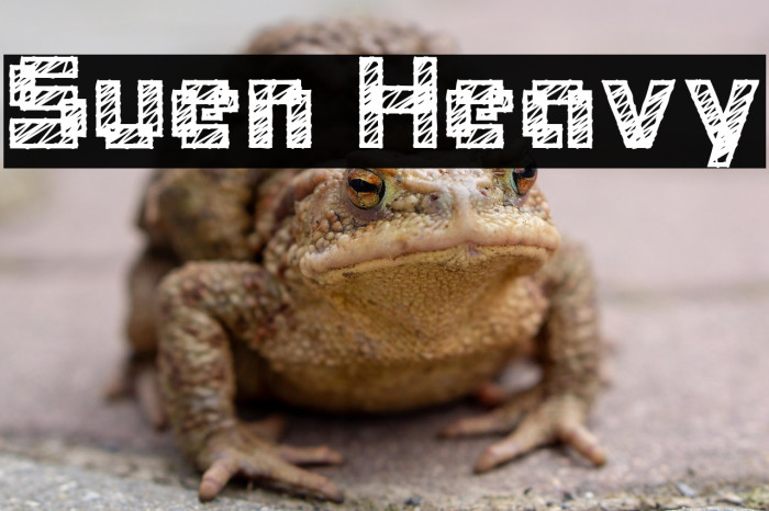 Suen Heavy Example 1