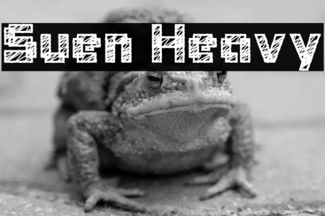 Suen Heavy Font examples