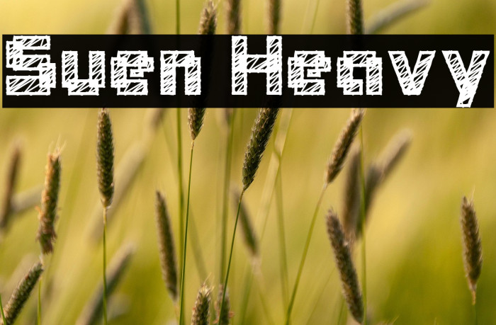 Suen Heavy Example 2