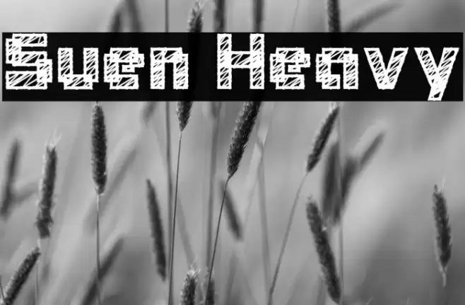 Suen Heavy Font examples