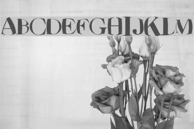 SuessFont Font examples