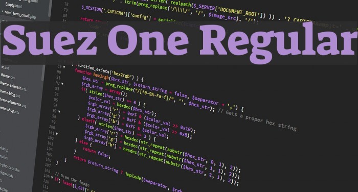 Suez One Regular Example 1