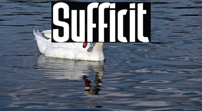 Sufficit Example 1
